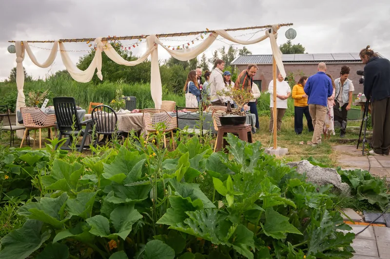 Draped linen canopy over the long table, seen across the squash patch