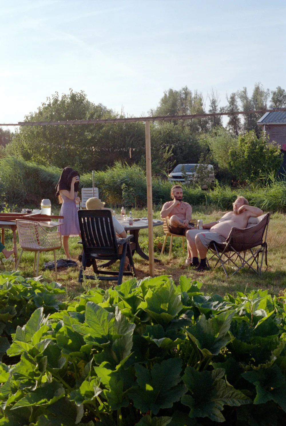 Friends lounging at garden tables beyond the vegetable beds, shot on film