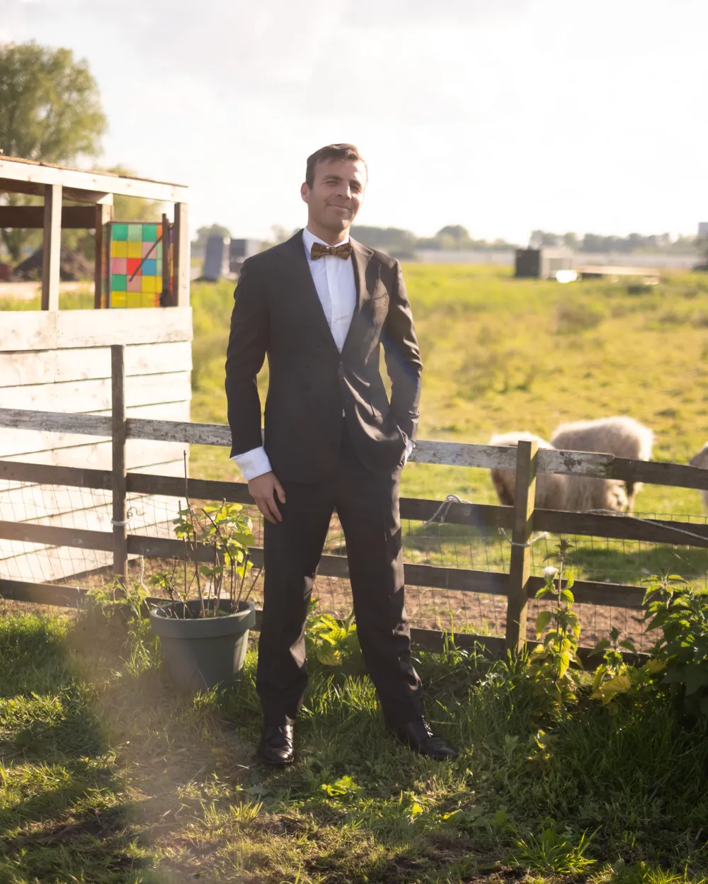 Guest in a tuxedo by the wooden fence with sheep grazing in the meadow