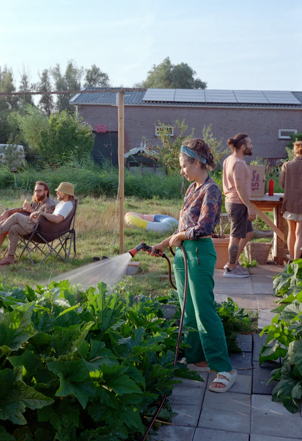 Watering the vegetable garden on a summer evening, shot on film